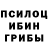 Галлюциногенные грибы мицелий Mariya Erdem