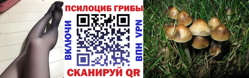 сайты даркнета телеграм где купить наркоту Богородск Галлюциногенные грибы GOLDEN TEACHER