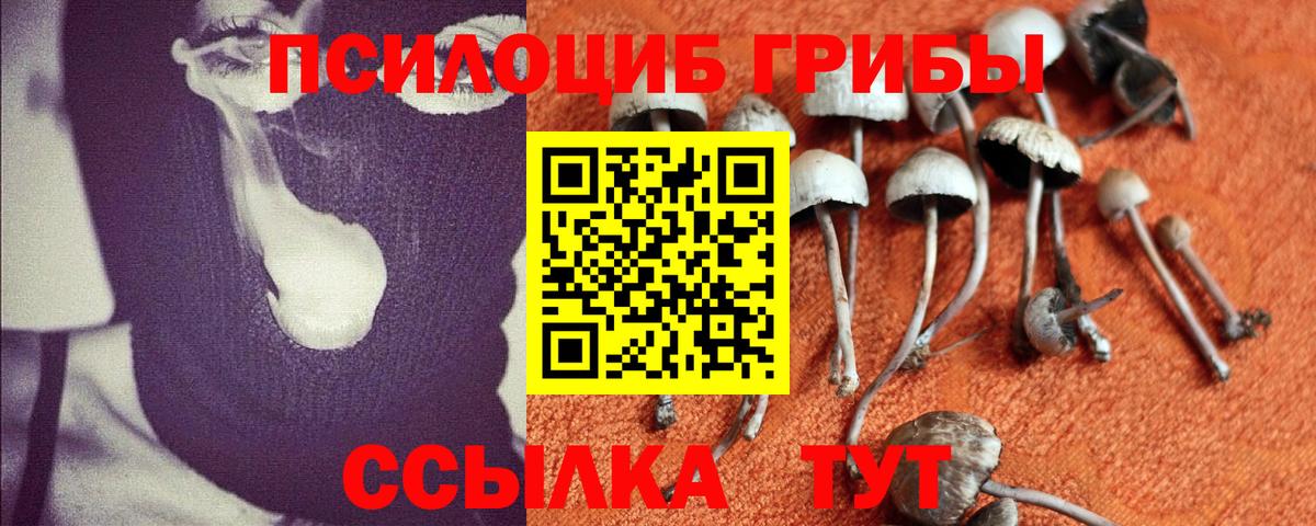 Псилоцибиновые грибы мухоморы  даркнет сайт  Богородск  Галлюциногенные грибы GOLDEN TEACHER  Вход с VPN 