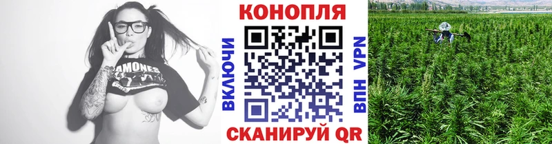 купить   Богородск  Конопля конопля 